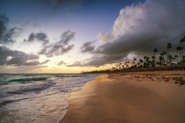 Egzotik plaj Dominik Cumhuriyeti, punta cana