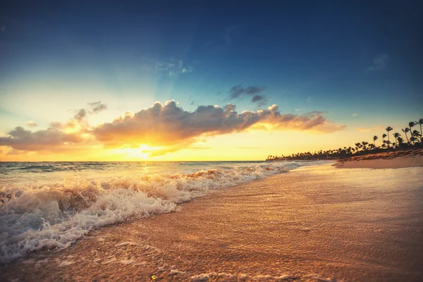 Salida del sol sobre playa exótica en Punta Cana, República Dominicana — Foto de Stock