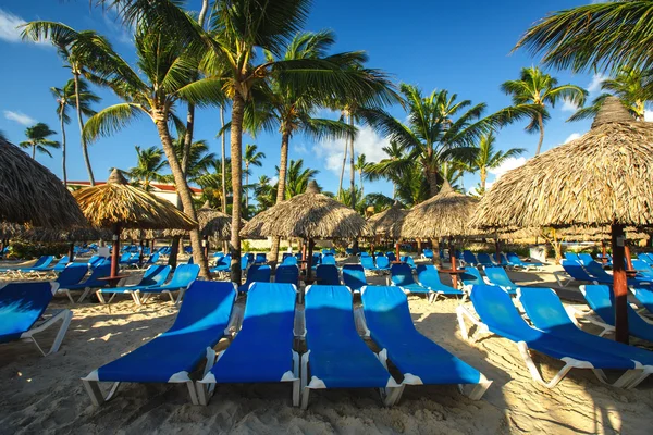 Vacanza caraibica, bellissima alba sulla spiaggia tropicale — Foto Stock