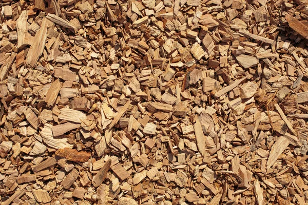 Wood chips textur, trä biomassa bakgrund — Stockfoto