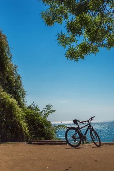 Bicycle in the city park — Stock Photo, Image
