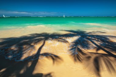 Palm ağaçlar gölge tropikal plaj Punta Cana, Dominik Re