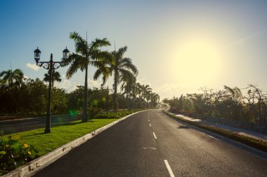 Yolu doğru lüks resort Punta Cana tropikal doğa ile,