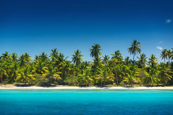 Palmen am tropischen Strand, Insel Saona, Dominikanische Republik — Stockfoto