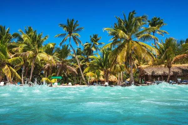 Caribbean wild beach — Stock Photo, Image