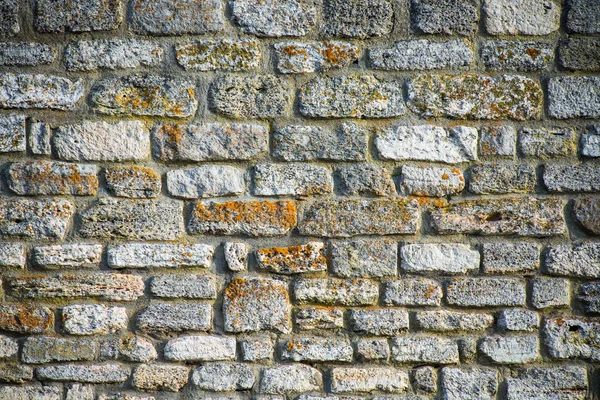 Bakgrund av sten marken textur effekt — Stockfoto