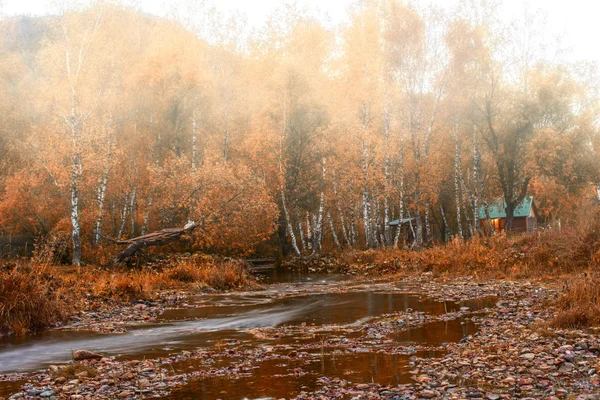 Sonbahar dağ Köyü'nde. — Stok fotoğraf