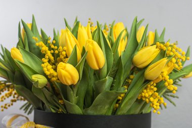 Parlak bahar laleleri ve mimoza çiçekleri.