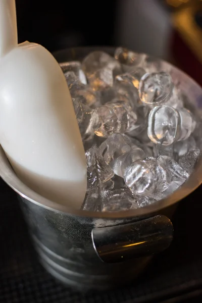 Eiskübel mit Eiswürfeln — Stockfoto