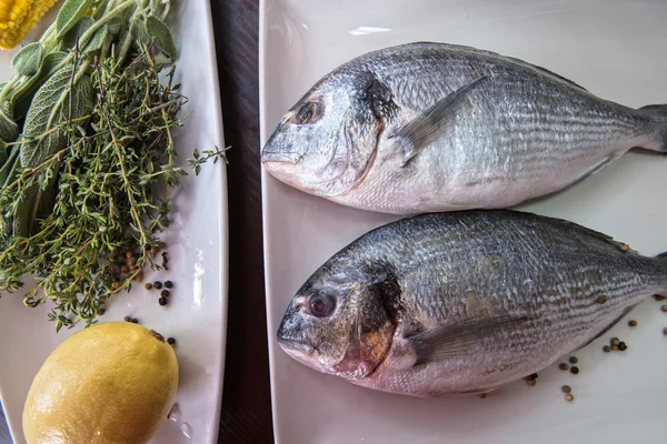 Dorado fresco não cozido — Fotografia de Stock