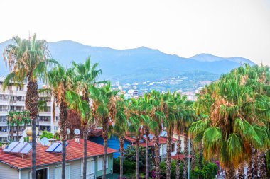Alanya sabah, Türkiye
