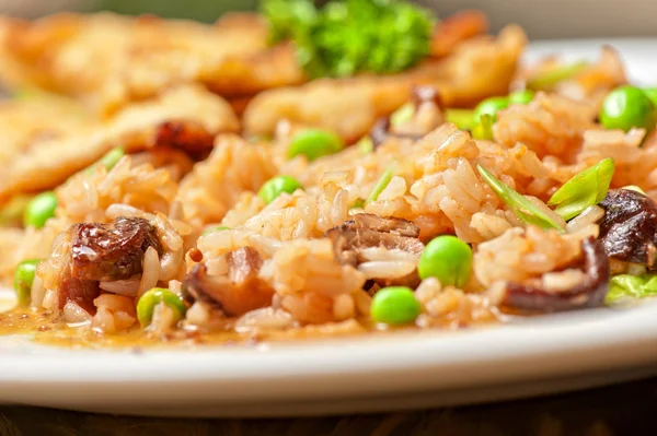 Carne de porco assada e arroz — Fotografia de Stock