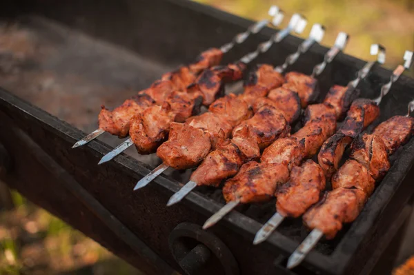 Shashlik su una griglia — Foto Stock