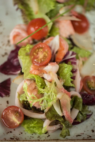 Salad with cooked shrimp — Stock Photo, Image