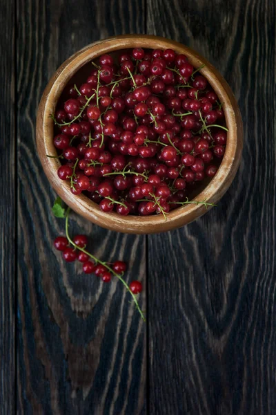 Grosellas rojas frescas — Foto de Stock