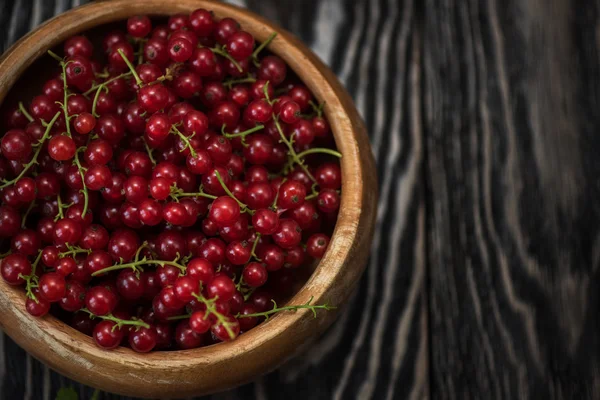 Fresh red currants — Stock Photo, Image