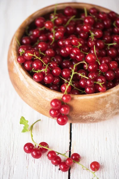 Fresh red currants — Stock Photo, Image