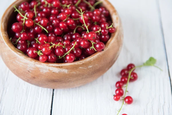 Fresh red currants — Stock Photo, Image