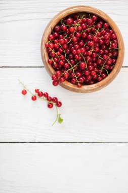 taze kırmızı kuş üzümü