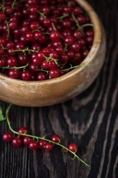 Fresh red currants — Stock Photo, Image