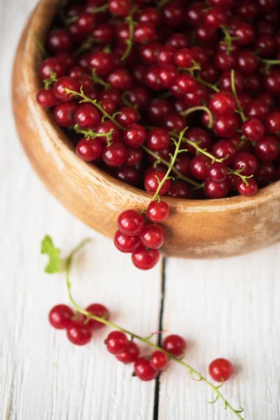 Fresh red currants — Stock Photo, Image