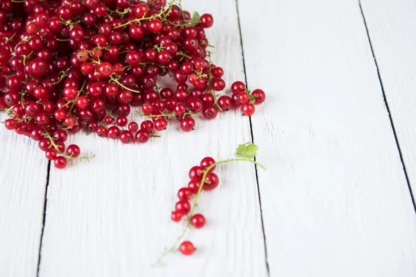 Fresh red currants — Stock Photo, Image