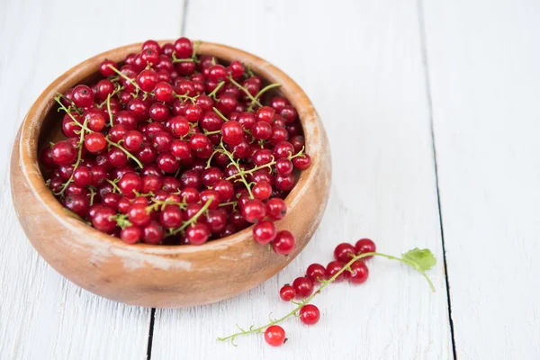 Fresh red currants — Stock Photo, Image