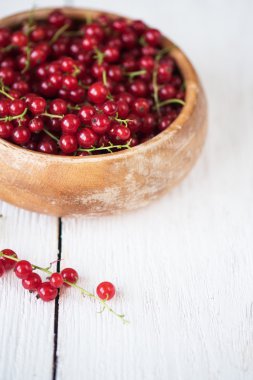 taze kırmızı kuş üzümü