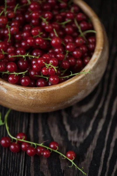 Fresh red currants — Stock Photo, Image