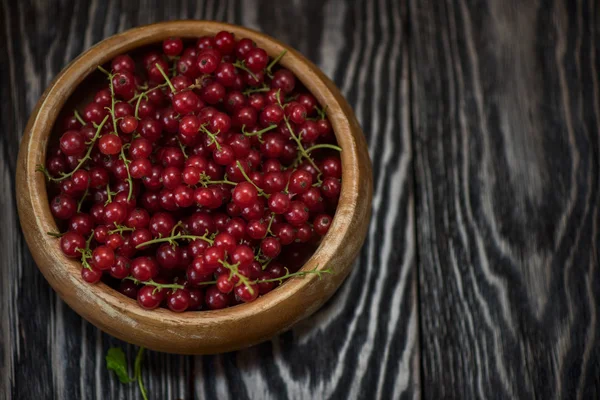 Färska röda vinbär — Stockfoto