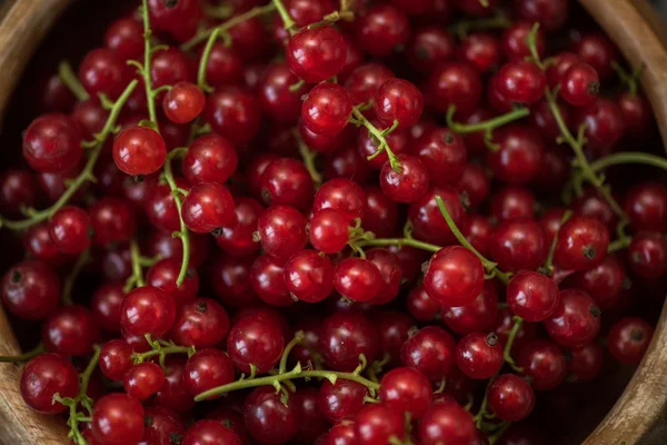 Fresh red currants — Stock Photo, Image