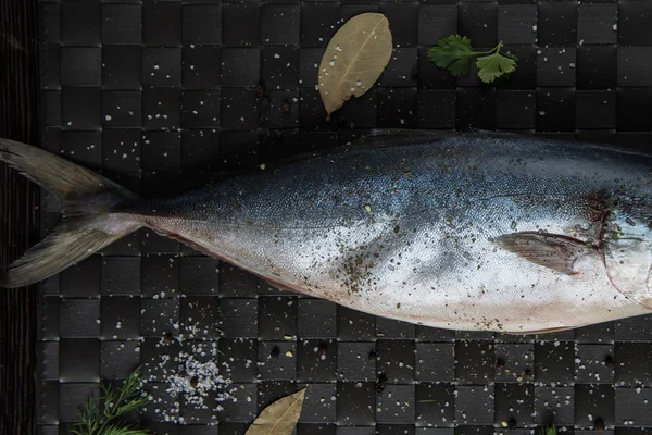 Raw tuna fish — Stock Photo, Image