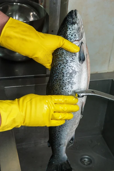 Чистка лосося — стоковое фото