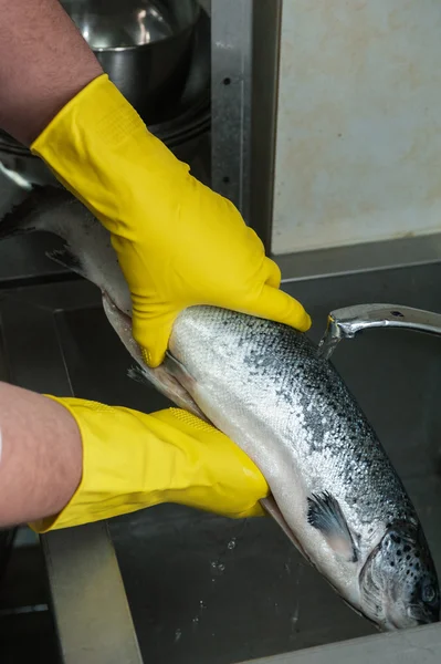 Cleaning salmon fish — Stock Photo, Image