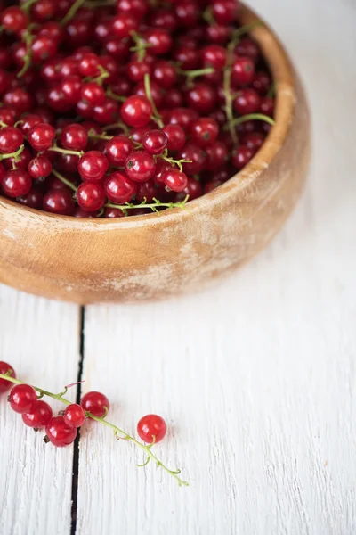 Fresh red currants — Stock Photo, Image