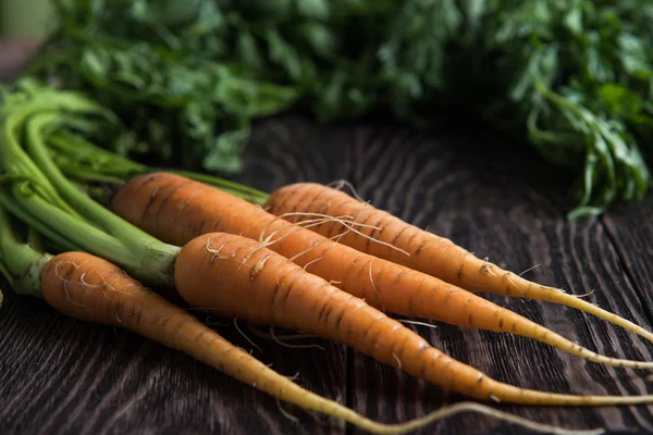 Freshly grown carrots — Stock Photo, Image