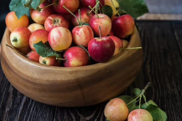 Colheita fresca de maçãs — Fotografia de Stock