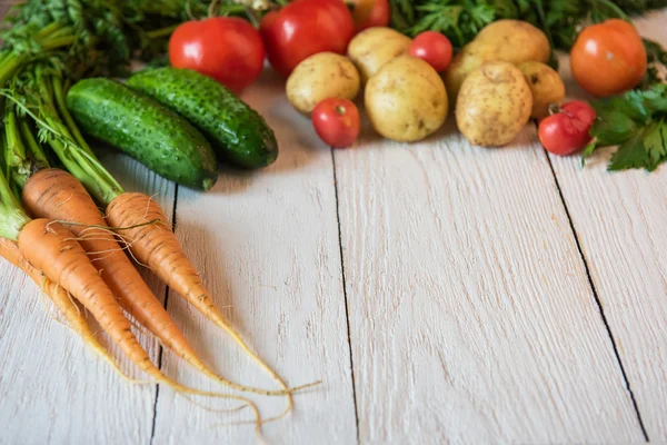 Färska odlade råa grönsaker — Stockfoto