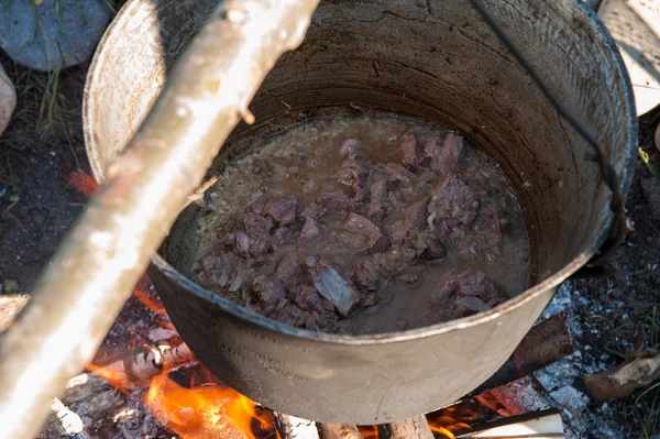 Bir kamp ateşi üzerinde pişirme — Stok fotoğraf