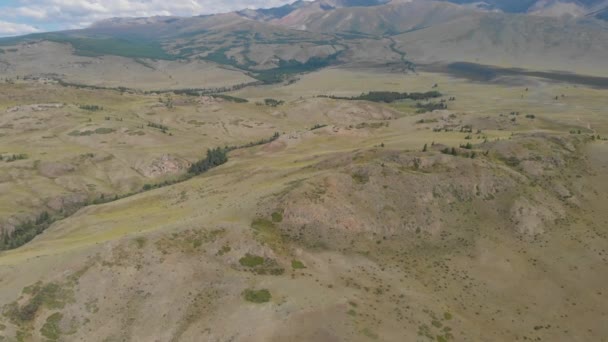 Luchtfoto van de Kurai steppe — Stockvideo