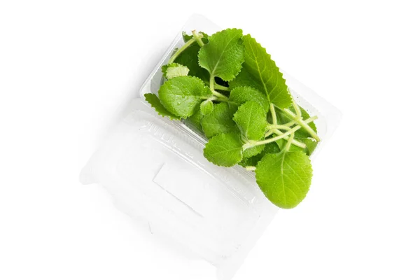 Mint in plastic bag — Stock Photo, Image