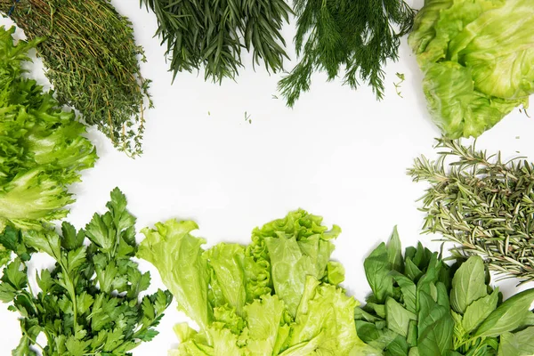 Diversi tipi di erbe fresche da giardino — Foto Stock