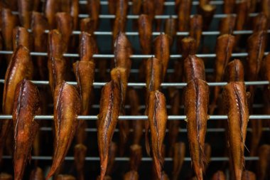 Tütsülenmiş levrek balığı tüttürüyor.