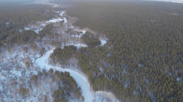 Luchtfoto 4k van prachtig winterbos — Stockvideo