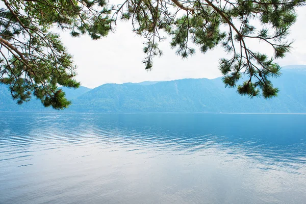 Teletskoye jezero v horách Altai — Stock fotografie