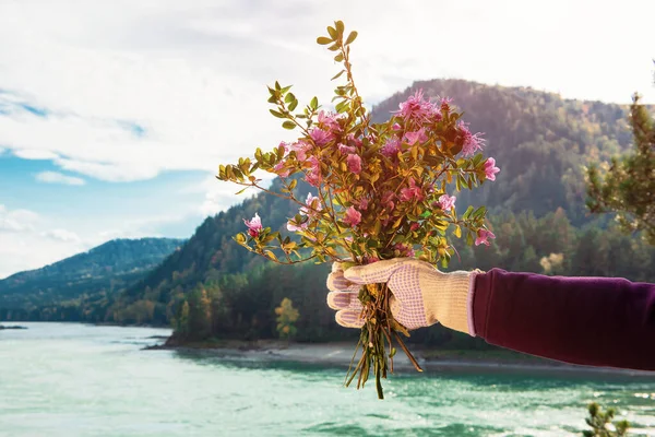 Ramo de flores silvestres en la mano de una mujer con guantes — Foto de Stock