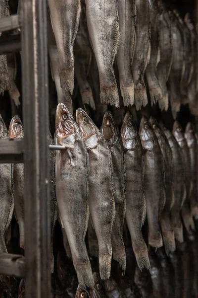 Conceito de produção de peixe fumado — Fotografia de Stock