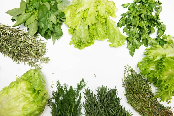 Diversi tipi di erbe fresche da giardino — Foto Stock