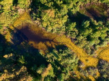 Vahşi nehir hava aracı görüntüsü
