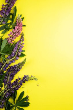 Metin için sarı kağıt modeli